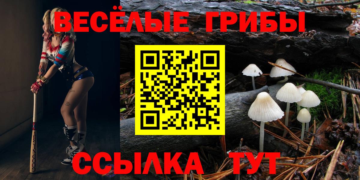 Галлюциногенные грибы мухоморы Кудымкар